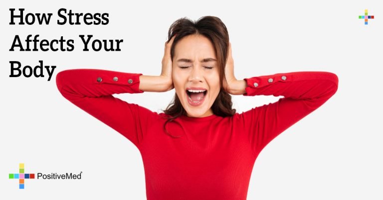 How Stress Affects Your Body How Stress Affects Your Body