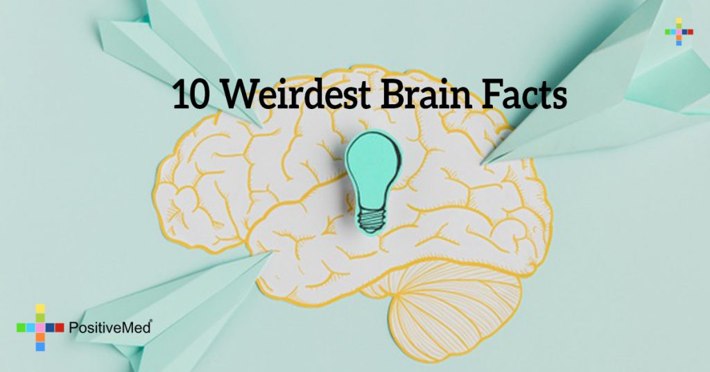 10 Weirdest Brain Facts