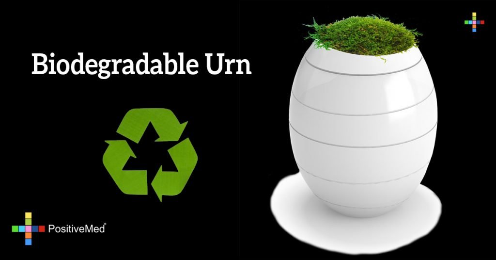 Biodegradable Urn