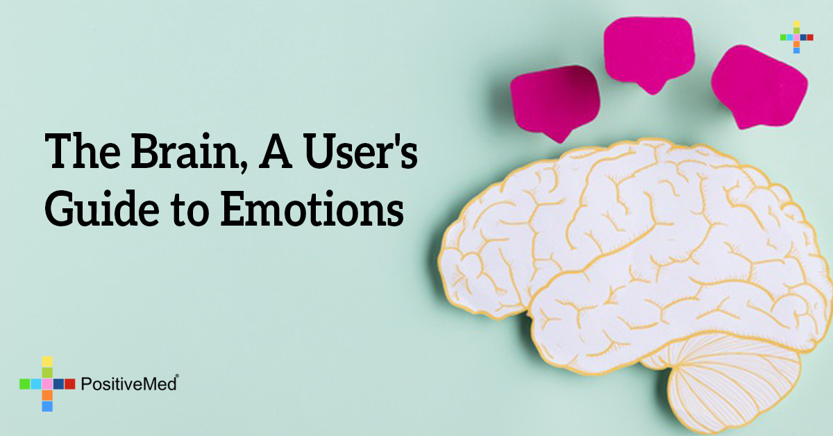 The Brain a User's Guide to Emotions Begin