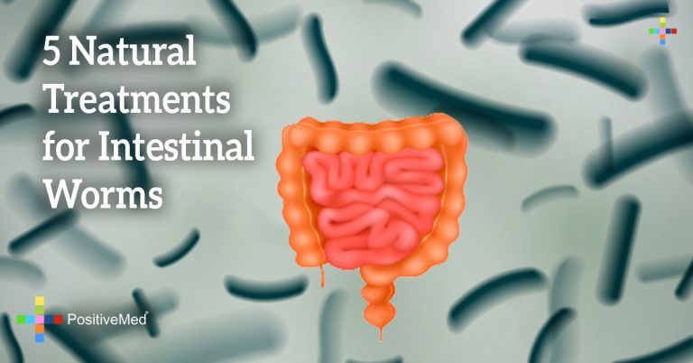 5 Natural Treatments for Intestinal Worms 5 Natural Treatments for Intestinal Worms