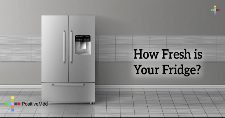 How Fresh is Your Fridge? How Fresh is Your Fridge?