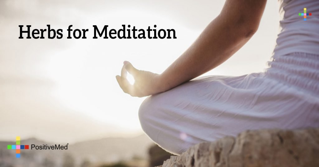 Herbs for Meditation