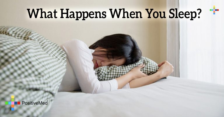 What Happens When You Sleep?