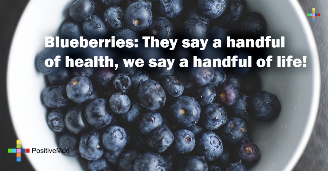 Blueberries They say a handful of health, we say a handful of life
