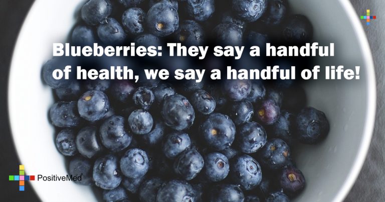 Blueberries: They say a handful of health, we say a handful of life!