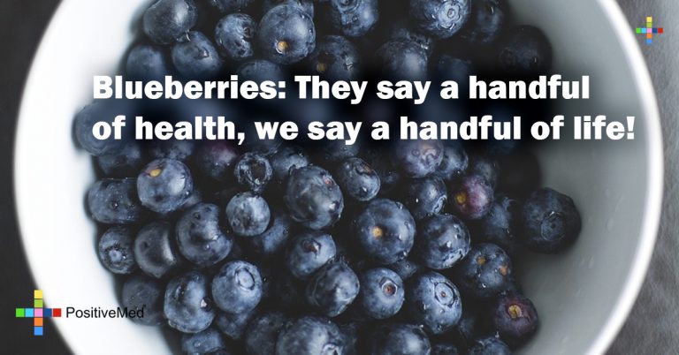Blueberries: They say a handful of health, we say a handful of life! Blueberries: They say a handful of health, we say a handful of life!
