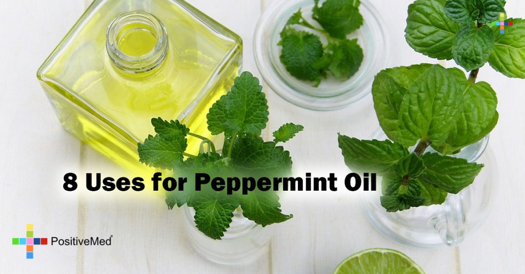 8 Uses for Peppermint Oil PositiveMed