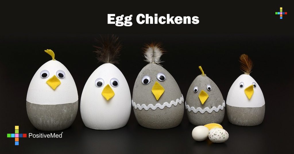 Egg Chickens