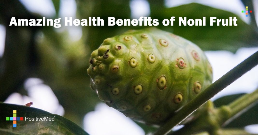Amazing Health Benefits of Noni Fruit PositiveMed