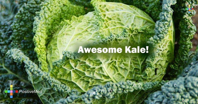 Awesome Kale! Awesome Kale!