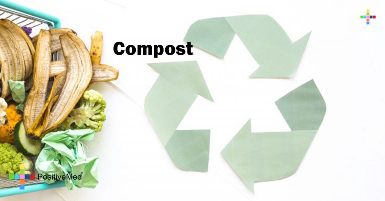 Compost Compost