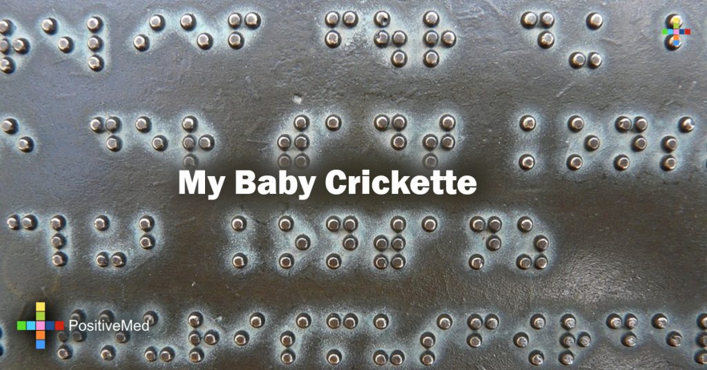 My Baby Crickette