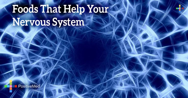 Foods That Help Your Nervous System