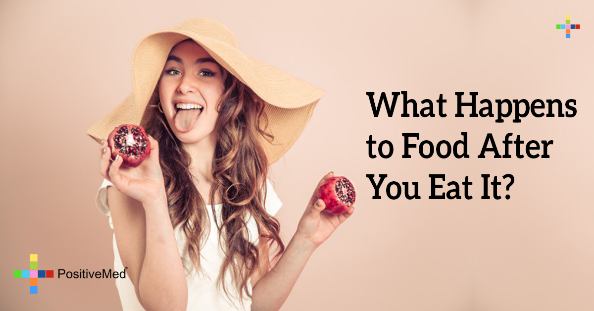 What Happens to Food After You Eat It? - PositiveMed