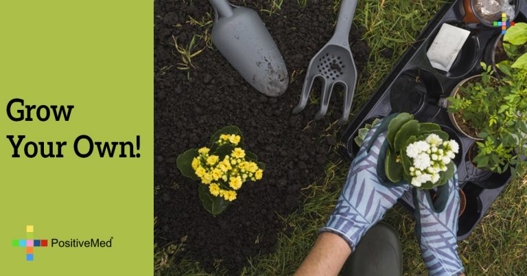 Grow Your Own! Grow Your Own!