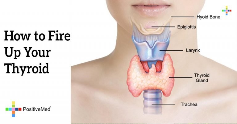 How to Fire Up Your Thyroid How to Fire Up Your Thyroid