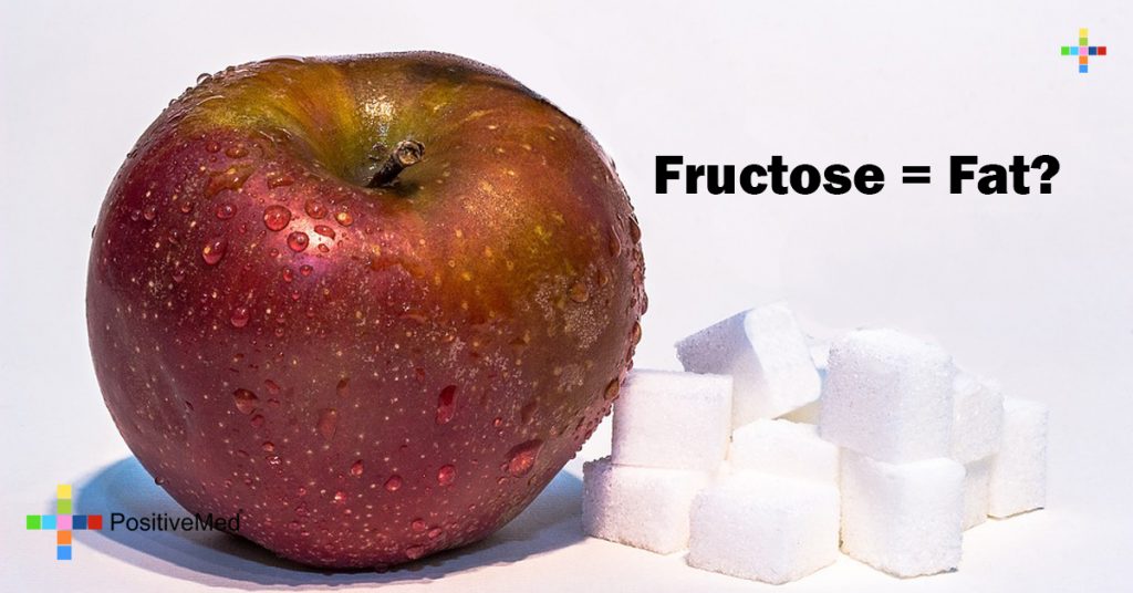 Fructose = Fat?
