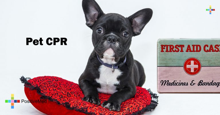 Pet CPR Pet CPR