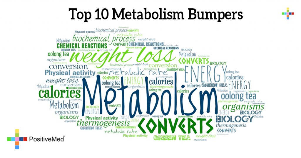 Top 10 Metabolism Bumpers