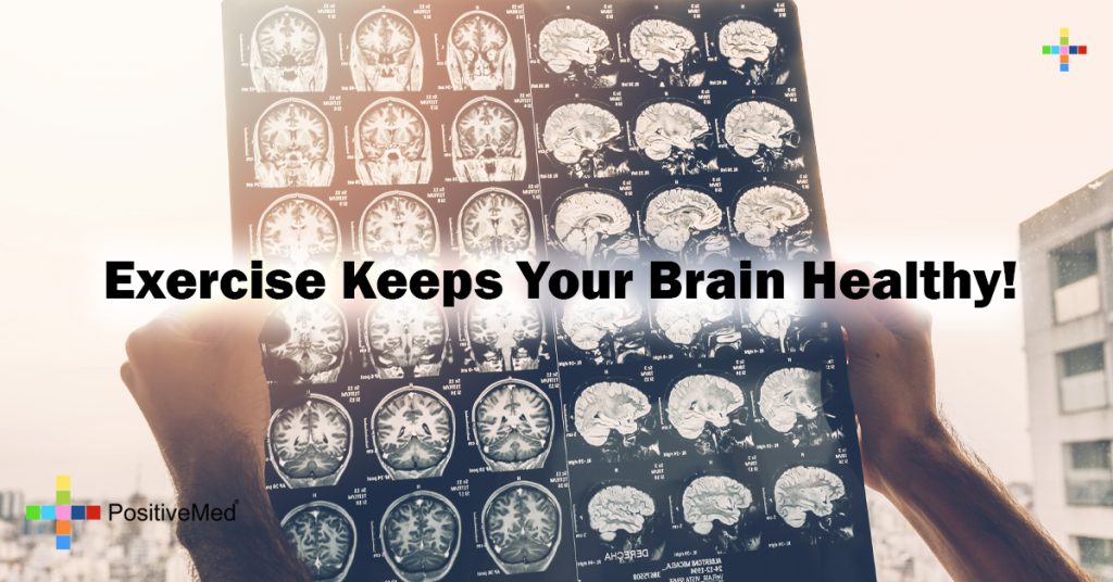 Exercise Keeps Your Brain Healthy!