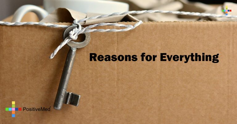 Reasons for Everything Reasons for Everything