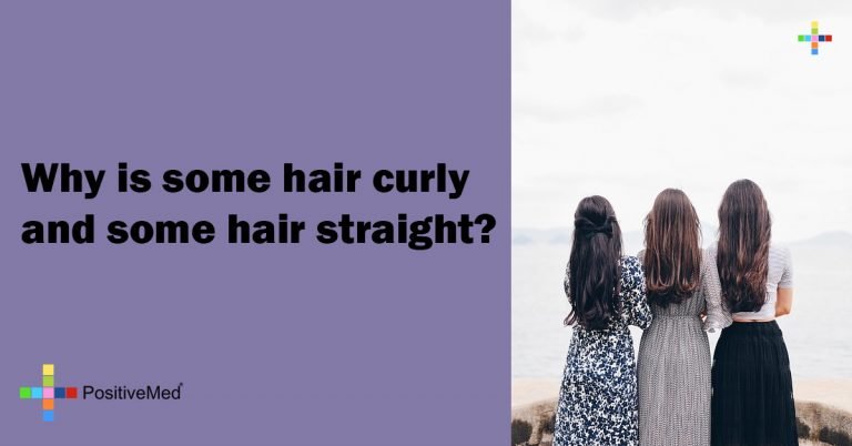 Why is some hair curly and some hair straight?
