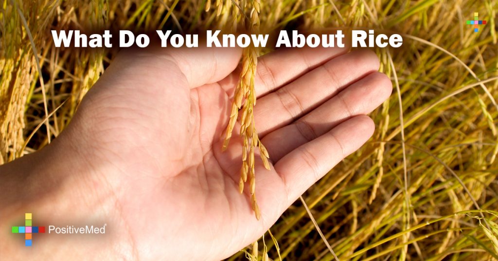 What Do You Know About Rice Positivemed