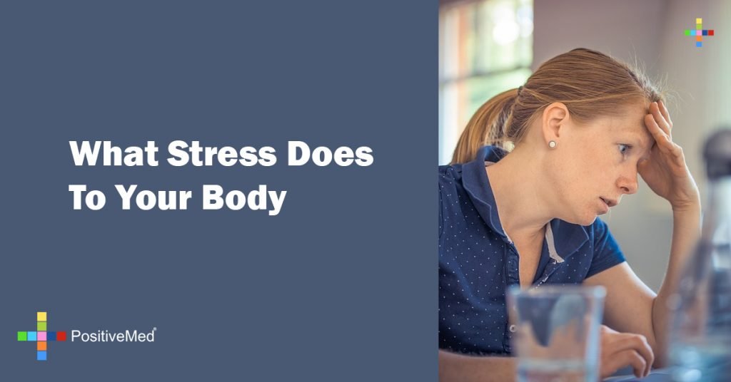 What Stress Does To Your Body