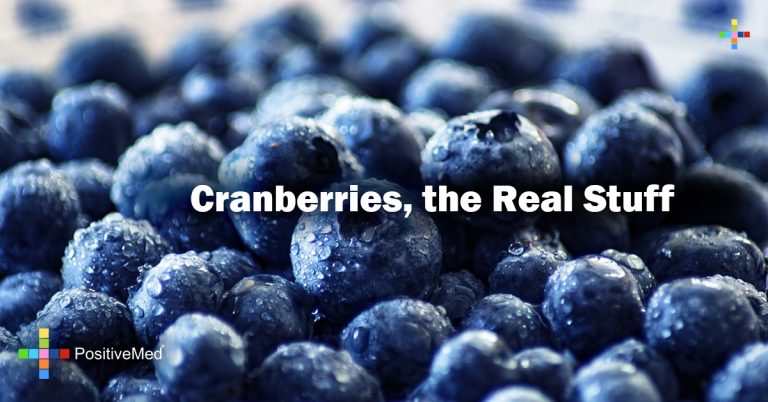 Cranberries, the Real Stuff Cranberries, the Real Stuff