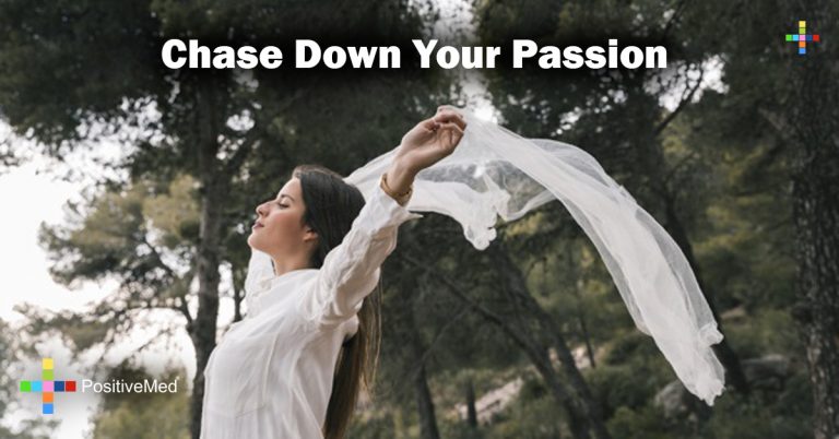 Chase Down Your Passion