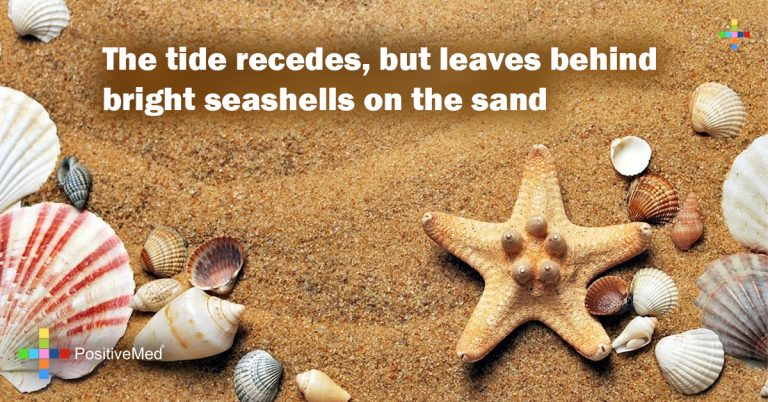 The tide recedes, but leaves behind bright seashells on the sand The tide recedes, but leaves behind bright seashells on the sand