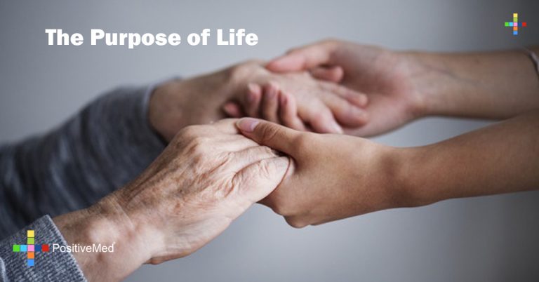 The Purpose of Life The Purpose of Life