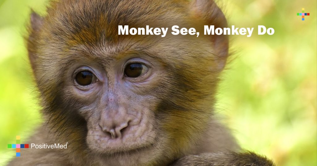 Monkey See, Monkey Do