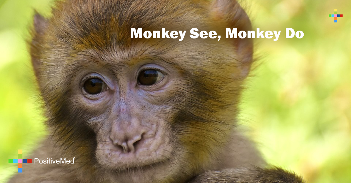 Monkey see monkey do positivemed