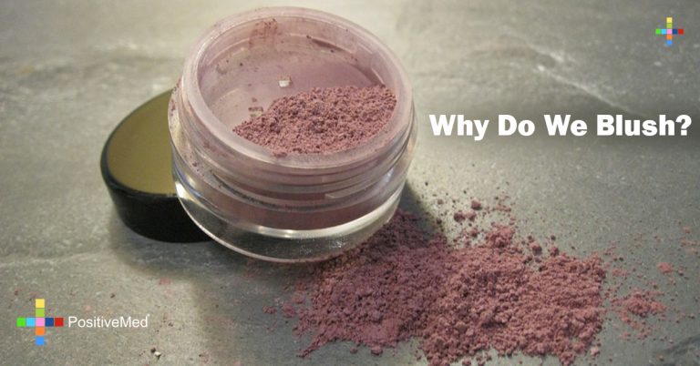 Why Do We Blush? Why Do We Blush?