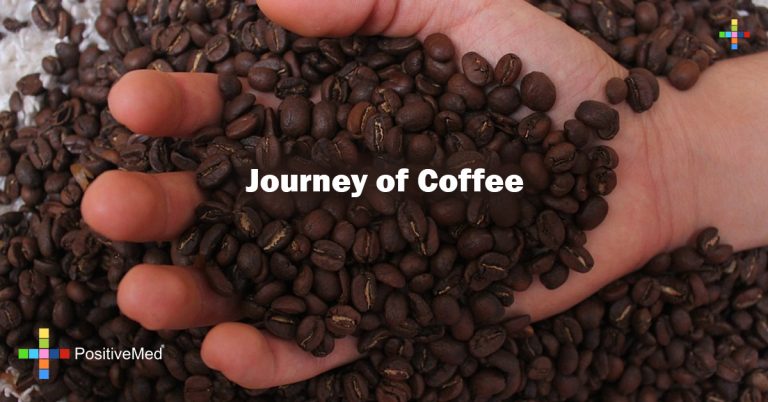 Journey of Coffee Journey of Coffee