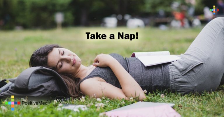 Take a Nap! Take a Nap!