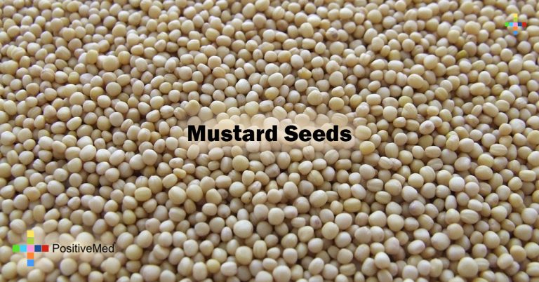 Mustard Seeds Mustard Seeds