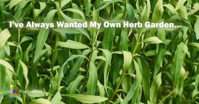 I’ve Always Wanted My Own Herb Garden… I’ve Always Wanted My Own Herb Garden…