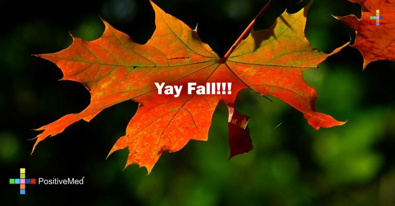 Yay Fall!!! Yay Fall!!!