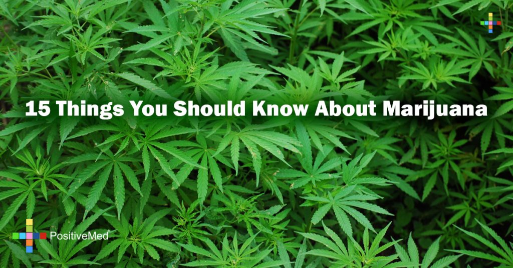 15 Things You Should Know About Marijuana