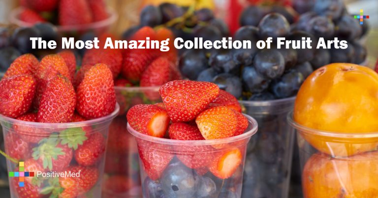 The Most Amazing Collection of Fruit Arts