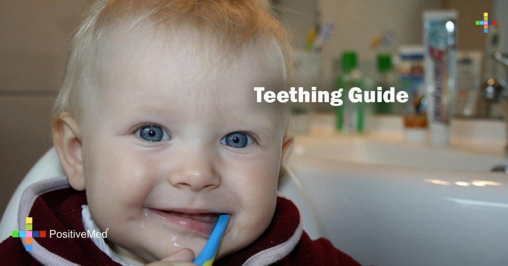 Teething Guide