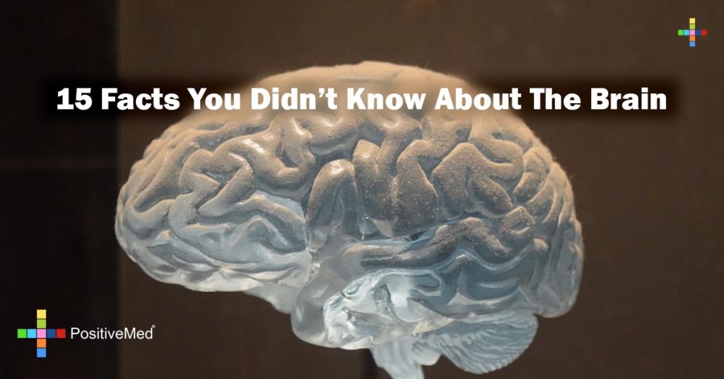 15 Facts You Didn't Know About The Brain