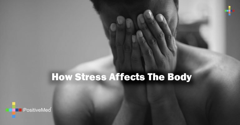 How Stress Affects The Body How Stress Affects The Body