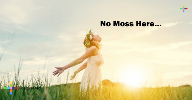 No Moss Here…
