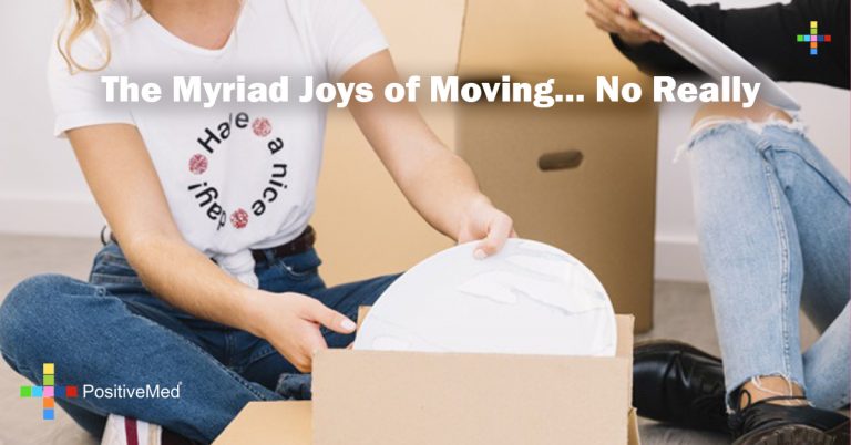 The Myriad Joys of Moving… No Really