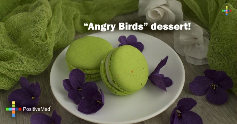 “Angry Birds” dessert!
