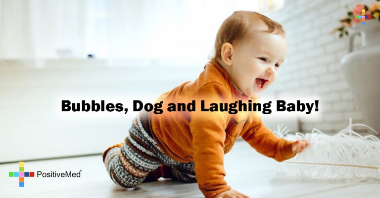 Bubbles, Dog and Laughing Baby!